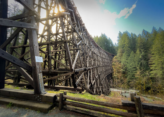 Kinsol Trestle Bridge - Digital Download