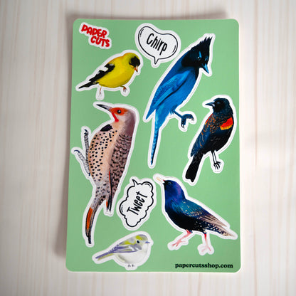 Bird Collection Sticker Sheet