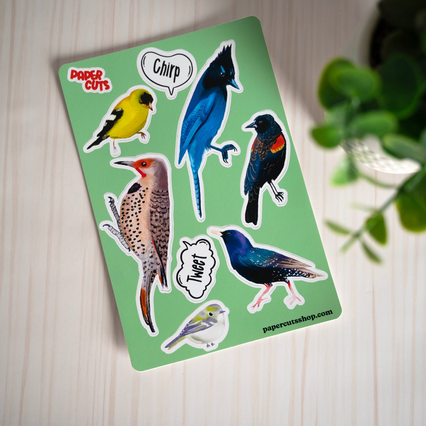 Bird Collection Sticker Sheet