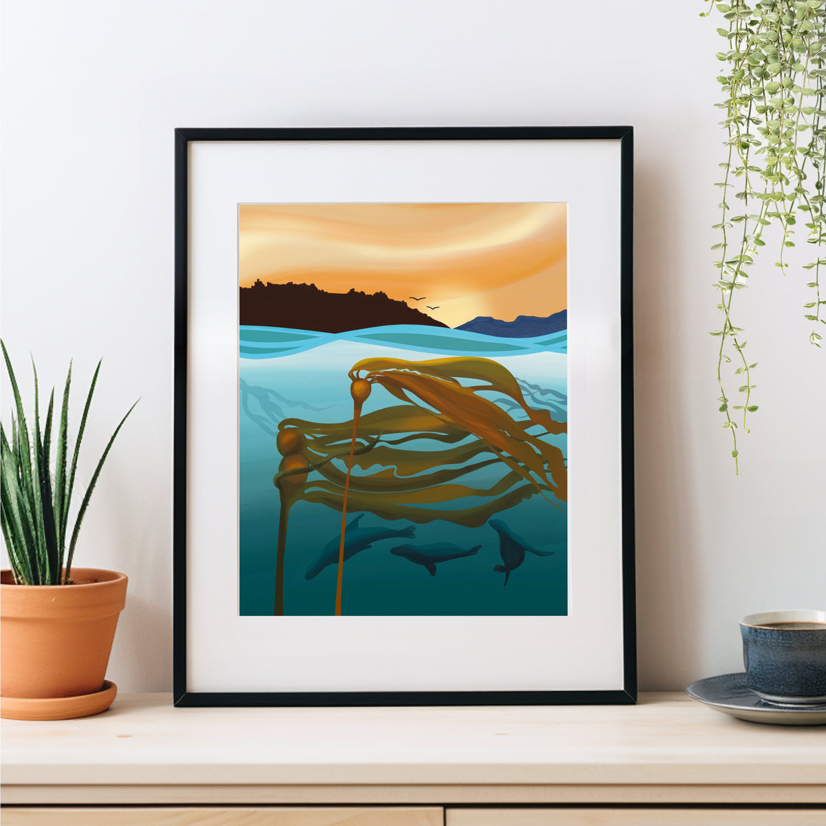 Bull Kelp and Seals
