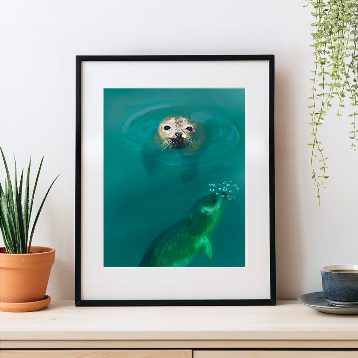 Harbour Seals