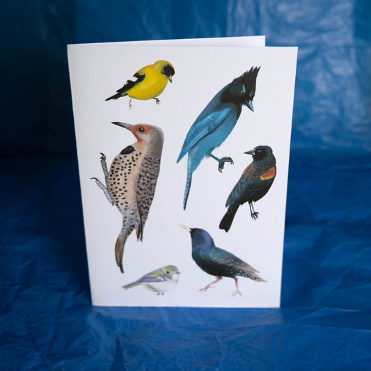 Bird Collection Card