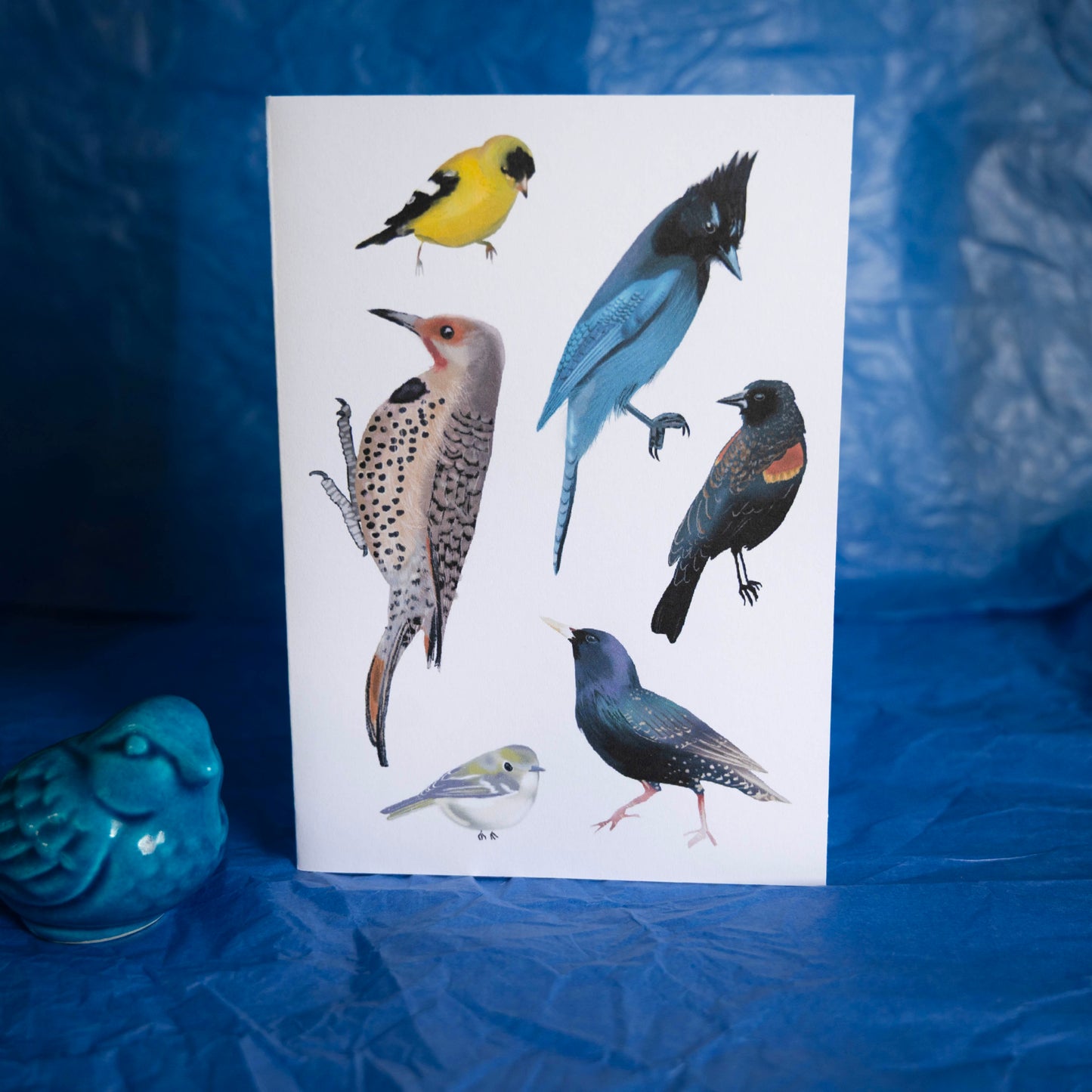 Bird Collection Card