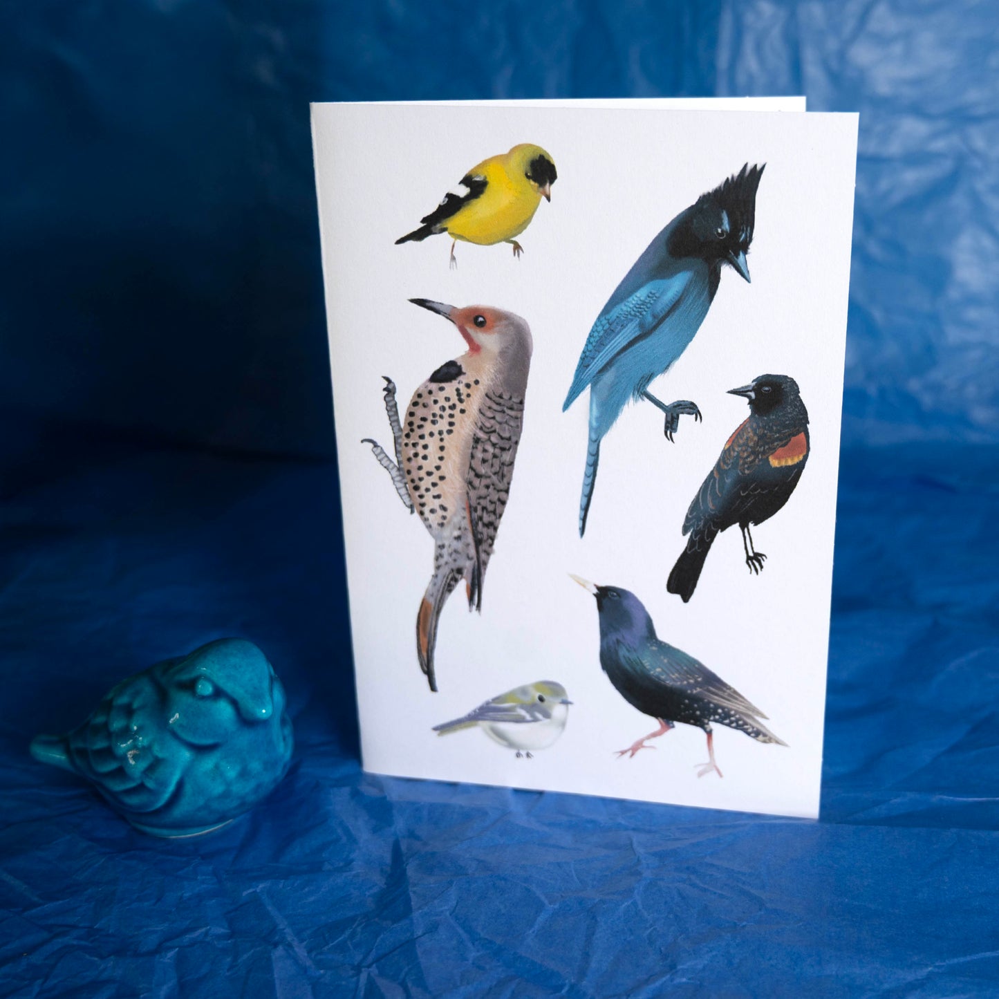 Bird Collection Card