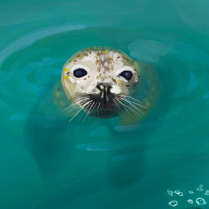 Harbour Seals