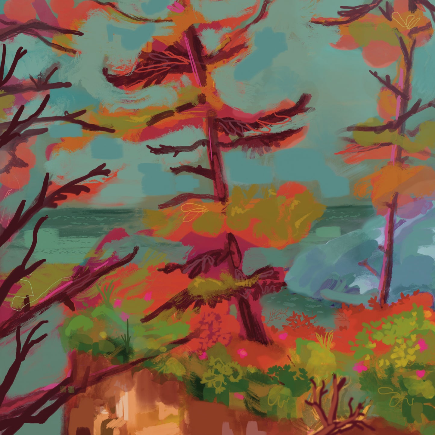 A Peek through the Trees
