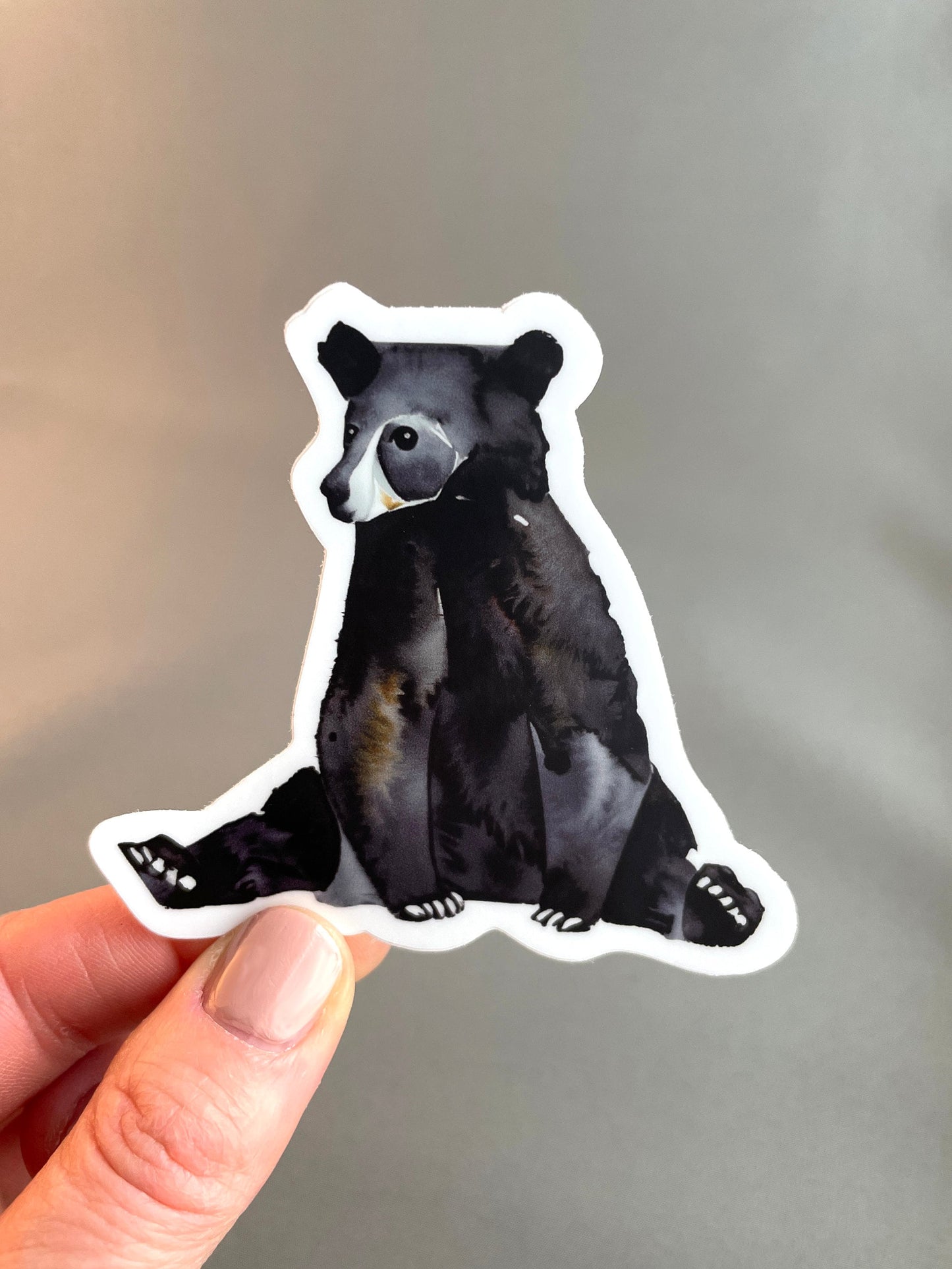 Teddy Bear Sticker perfect for Water Bottles