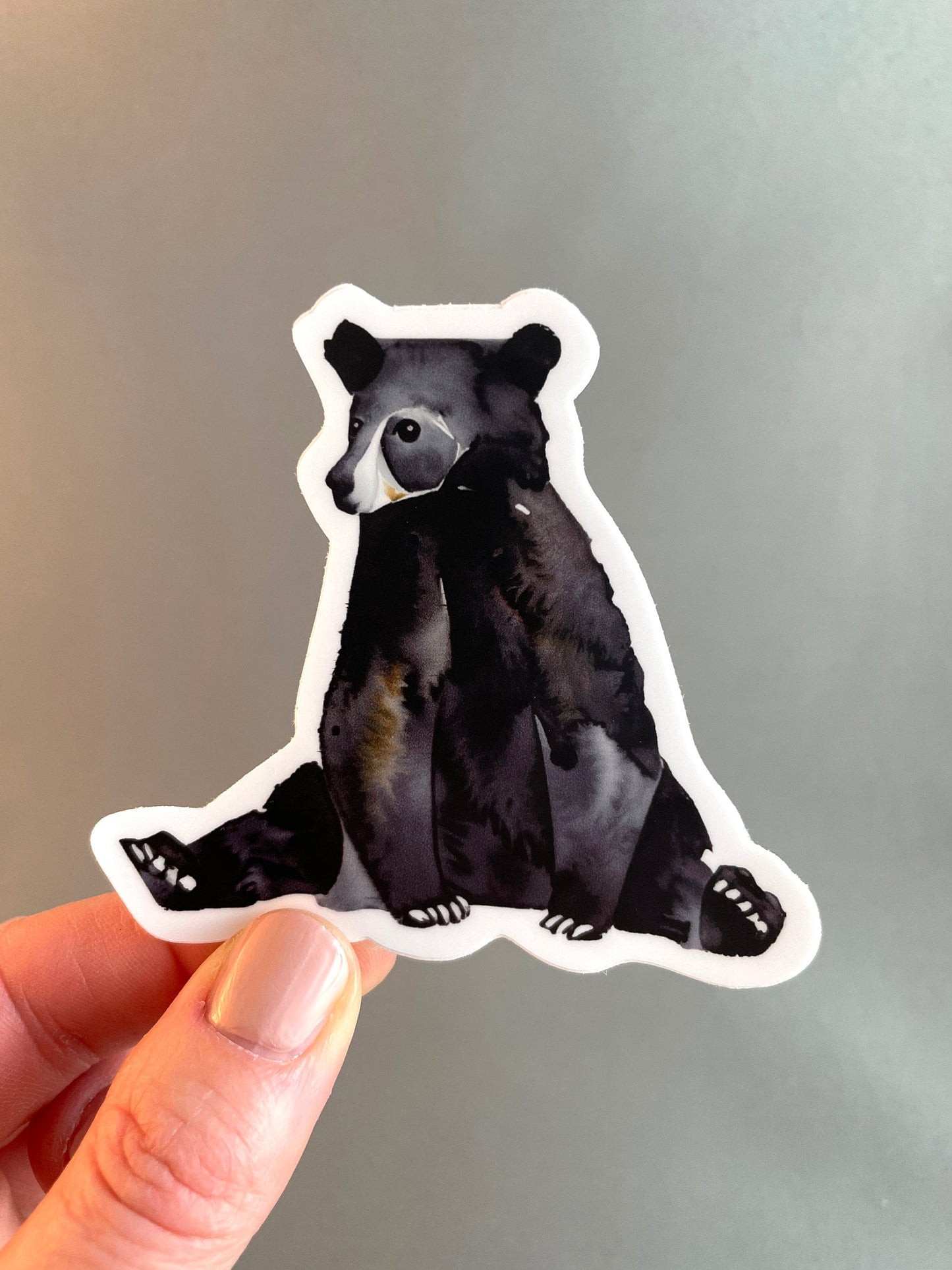 Teddy Bear Sticker perfect for Water Bottles